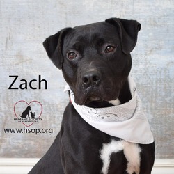 Thumbnail photo of Zach #4