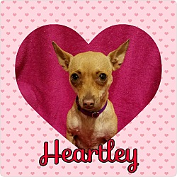 Thumbnail photo of Heartley #1