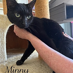 Photo of Minny