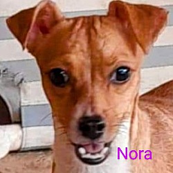 Thumbnail photo of Nora #1