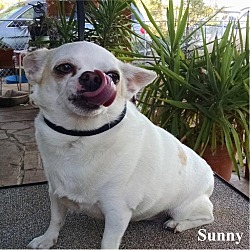 Thumbnail photo of Sunny #2