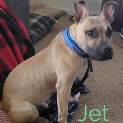 Thumbnail photo of Jet D15953 #2