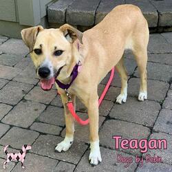 Thumbnail photo of Teagan #3