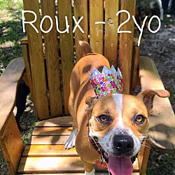 Thumbnail photo of Roux #2