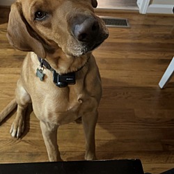 Photo of Max