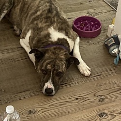 Photo of Maxine 