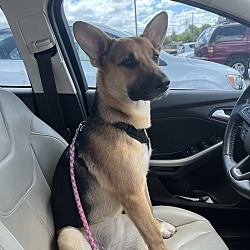Photo of Princess