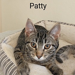 Thumbnail photo of Patty #1