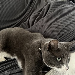Photo of Athena