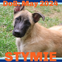 Thumbnail photo of STYMIE #1