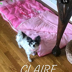 Thumbnail photo of CLAIRE #2