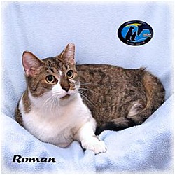 Thumbnail photo of Roman #1