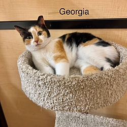 Thumbnail photo of Georgia #3