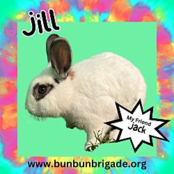 Photo of Jill