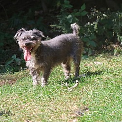 Thumbnail photo of ERNIE #4