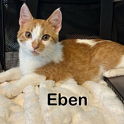 Thumbnail photo of Eben #1