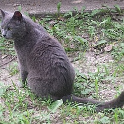 Photo of MOUSERS