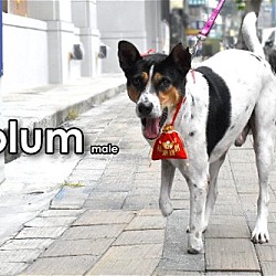 Photo of Colum from Taiwan