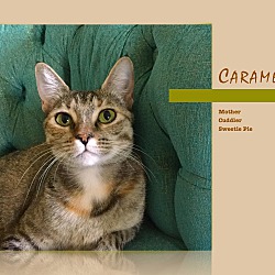 Photo of Caramel