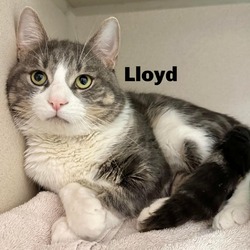Photo of Lloyd 240407