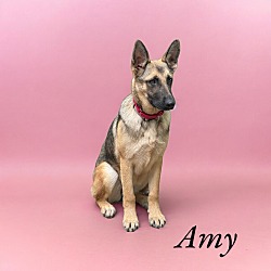 Thumbnail photo of Amy #2