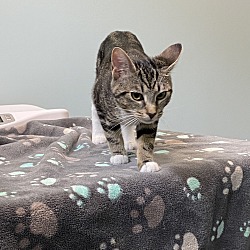 Photo of Sparkle