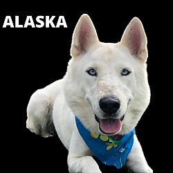 Photo of Alaska
