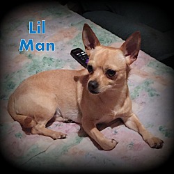 Thumbnail photo of Lil Man #1