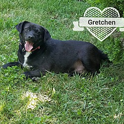 Photo of Gretchen