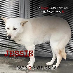 Thumbnail photo of Jessie 2802 #3