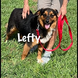 Photo of Lefty
