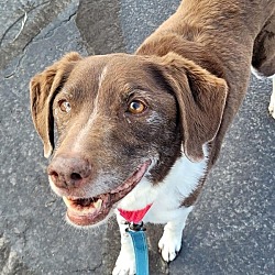 Photo of Roxy