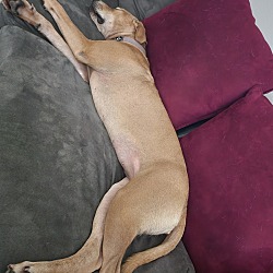 Photo of Ripley