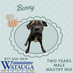 Photo of BENNY