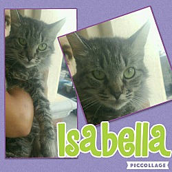 Thumbnail photo of Isabella #2