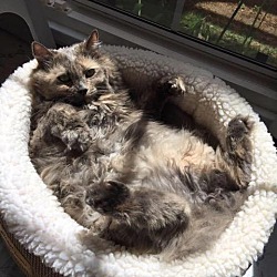 Photo of Susie