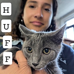 Thumbnail photo of Huff #2