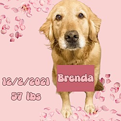 Thumbnail photo of Brenda #4