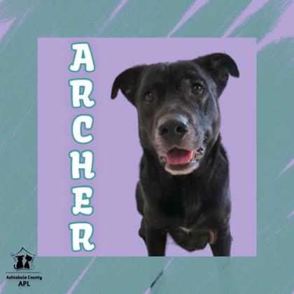 Thumbnail photo of Archer #1