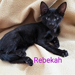 Thumbnail photo of Rebekah #1