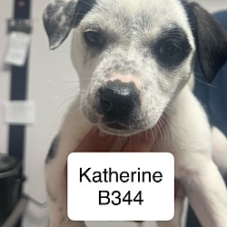 Photo of Katherine B344