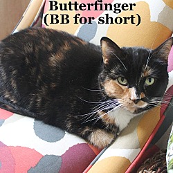 Thumbnail photo of Butterfinger #1