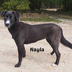 Photo of Nayla