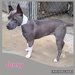 Photo of Jenny