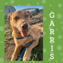 Thumbnail photo of Garris #3