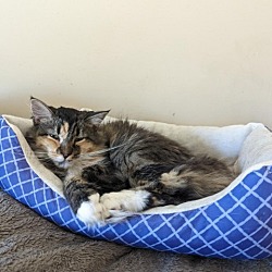Photo of Gina