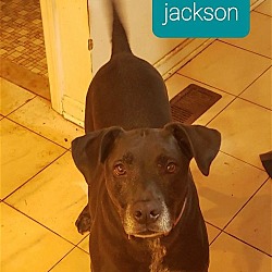 Photo of XP Jackson