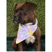 adopt-pet
