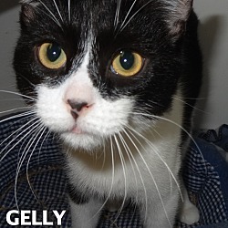 Thumbnail photo of Gelly-laid back! #3