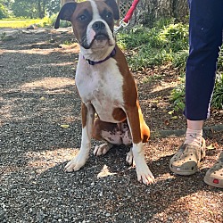 Photo of Junior